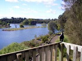Lake McIntyre - Accommodation Great Ocean Road 0