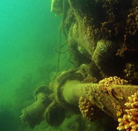 Wreck Diving at Magnetic Island - Accommodation Great Ocean Road