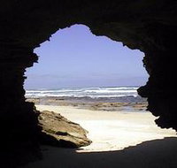 Canunda National Park - Accommodation Great Ocean Road