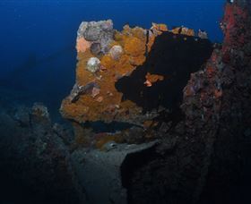 Lady Bowen Dive Site - Accommodation Great Ocean Road 0