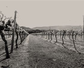 Halls Gap Estate - Accommodation Great Ocean Road 0