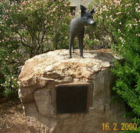 Dingo Statue - Accommodation Great Ocean Road