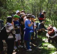 Warrumbungle National Park Discovery Program - Accommodation Great Ocean Road