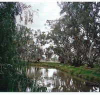 Henty Government Dam Nature Reserve - Accommodation Great Ocean Road