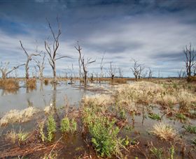 Winton Wetlands Reserve - Accommodation Great Ocean Road 4