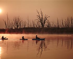 Winton Wetlands Reserve - Accommodation Great Ocean Road 7