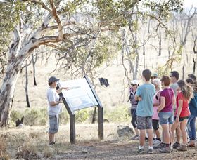 Winton Wetlands Reserve - Accommodation Great Ocean Road 5