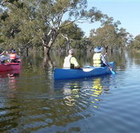 Doodle Cooma Swamp - Accommodation Great Ocean Road
