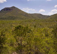 Kutini-Payamu Iron Range National Park CYPAL - Accommodation Great Ocean Road