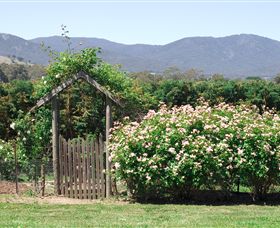 Samaria Farm - Accommodation Great Ocean Road 2
