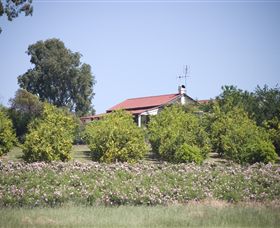 Samaria Farm - Accommodation Great Ocean Road 0