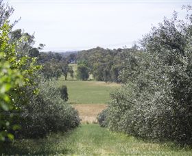 Samaria Farm - Accommodation Great Ocean Road 7