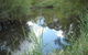 Mullion Range State Conservation Area - thumb 2