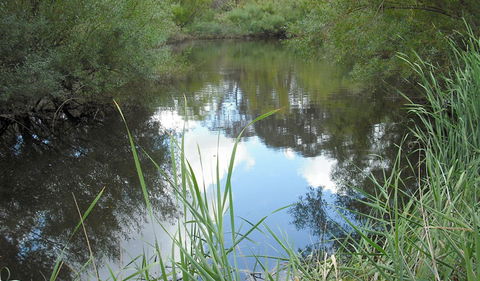 Mullion Range State Conservation Area - Accommodation Great Ocean Road 2