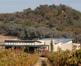 Amulet Vineyard And Beechworth Cider - Accommodation Great Ocean Road 8