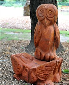 Albury Botanic Gardens - Accommodation Great Ocean Road 7