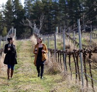 Mount Majura Vineyard - Accommodation Great Ocean Road