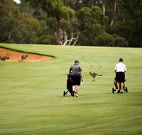 Federal Golf Club - Accommodation Great Ocean Road