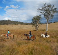 Chapman Valley Horse Riding - Accommodation Great Ocean Road