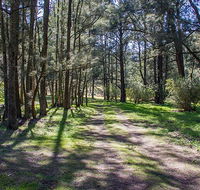 Wombeyan Waterfall walking track - Accommodation Great Ocean Road