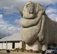 Big Merino - Accommodation Great Ocean Road