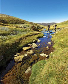 Australian Alps Walking Track - Accommodation Great Ocean Road 0
