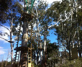 Trees Adventure Grose River Park - Accommodation Great Ocean Road 1