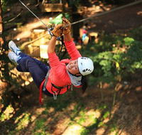 Trees Adventure Grose River Park - Accommodation Great Ocean Road