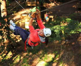 Trees Adventure Grose River Park - Accommodation Great Ocean Road 0