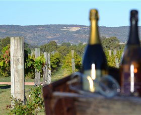 Ugly Duckling Wines - Accommodation Great Ocean Road 1