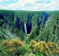Wollomombi Falls - Accommodation Great Ocean Road