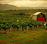 Around Hermitage Wine and Food Trail Hunter Valley - Accommodation Great Ocean Road