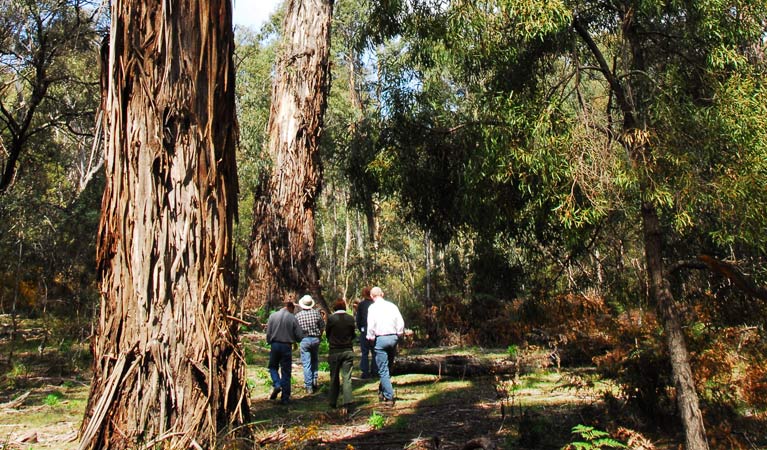 Hereford Hall NSW Accommodation Great Ocean Road