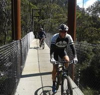McGees Cycling Store - Accommodation Great Ocean Road