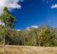 Brush Turkey track - Accommodation Great Ocean Road