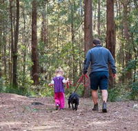 Olney State Forest - Watagan Mountains - Accommodation Great Ocean Road