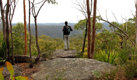 Mount Olive Lookout - Accommodation Great Ocean Road 1