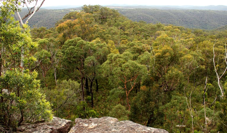 Mangrove Mountain NSW Accommodation Great Ocean Road