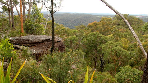 Mount Olive Lookout - Accommodation Great Ocean Road 2