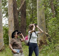 Chichester State Forest - Accommodation Great Ocean Road