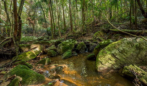 Palm Grove Nature Reserve - Accommodation Great Ocean Road 0