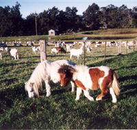Trudgalong Farm - Accommodation Great Ocean Road