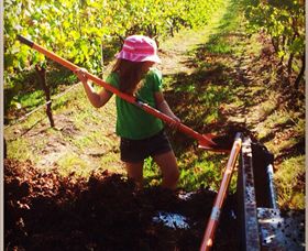 East Gippsland Wines - Accommodation Great Ocean Road 5