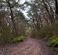 Budawang National Park - Accommodation Great Ocean Road