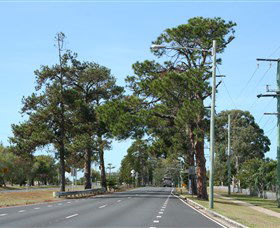 Anzac Memorial Avenue, Redcliffe - Accommodation Great Ocean Road 2