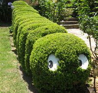 Nutcote - May Gibbs' Home - House Museum - Accommodation Great Ocean Road