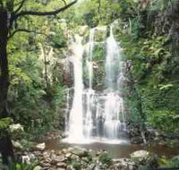 Budderoo National Park - The Falls Walk - Accommodation Great Ocean Road