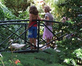 EG Waterhouse National Camellia Garden - Accommodation Great Ocean Road 0