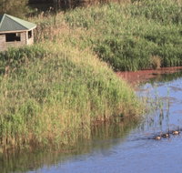 Spring Creek Bird Hide - Accommodation Great Ocean Road
