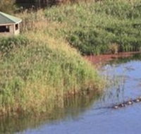 Spring Creek Wetlands Walk - Accommodation Great Ocean Road